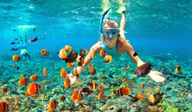 Egypt is the Top of the most beautiful coral reefs areas for snorkeling, according to WWF Photo